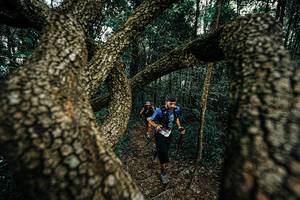 BIB: 
                            <button type="button" onclick="openModal(25393044)" class="btn btn-primary btn-sm float-right btn-popup" data-toggle="modal" data-target=".modal-high-quality">
                        <i class="fas fa-shopping-cart"></i> Add to Cart
                    </button>
                                            <button type="button" onclick="isThisMe(25393044, true)" class="btn btn-success btn-sm float-right btn-popup btn-isme hidden" data-toggle="tooltip" data-placement="bottom" title="นี่คือรูปของคุณใช่ไหม คลิกที่นี่เพื่อเอาเข้าอัลบั้ม">
                        <i class="fas fa-plus"></i> Add to album
                    </button>
                    <button type="button" onclick="isThisMe(25393044, false)" class="btn btn-warning btn-sm float-right btn-popup btn-isnotme hidden">
                        <i class="fas fa-ban"></i> Remove from album
                    </button>